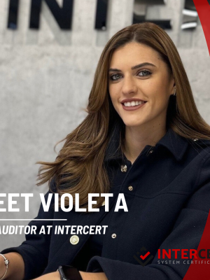 ISO auditor